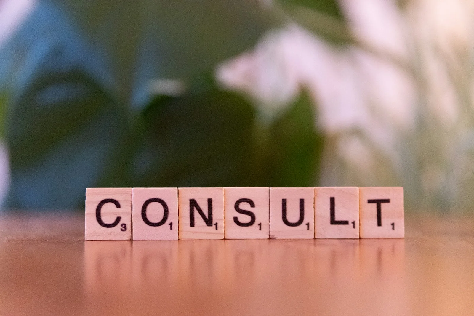 Professional consultation environment